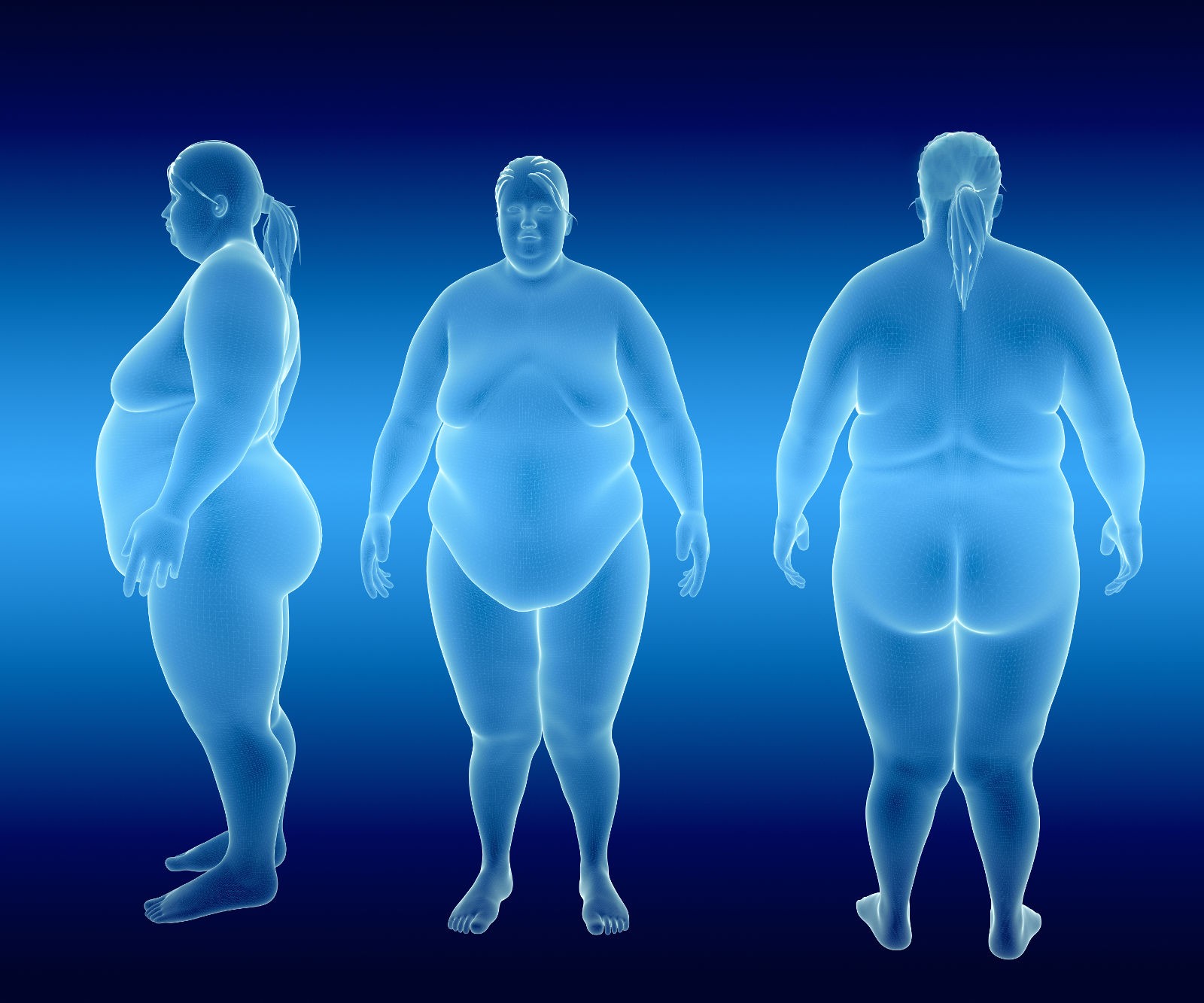 Clicca per accedere all'articolo “QUALE TRATTAMENTO PER L’OBESITA’?”